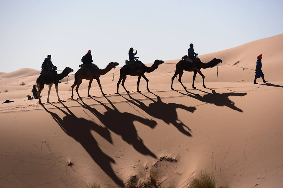 5 days from marrakech