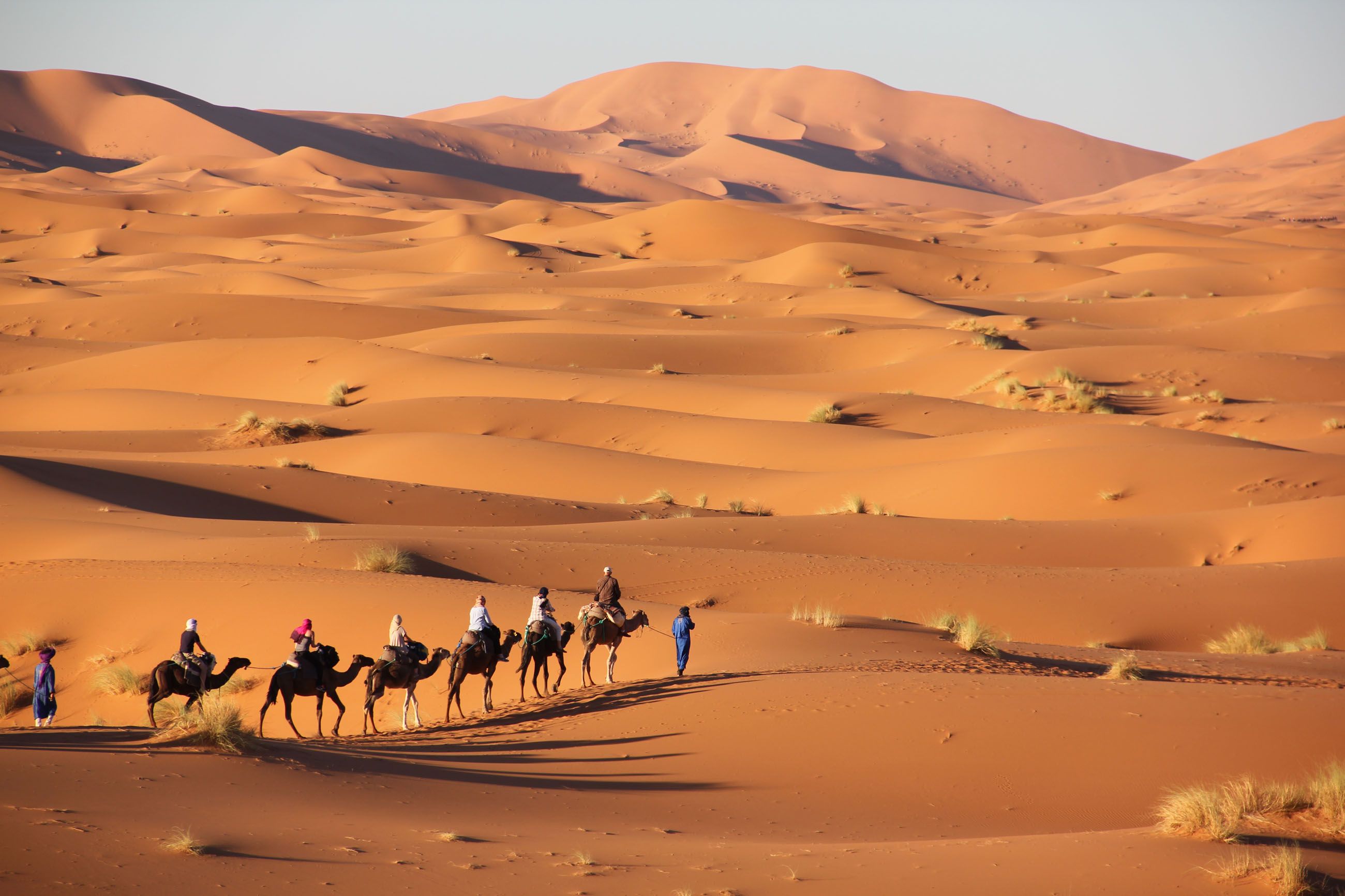 Morocco Tour